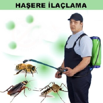 İzkent Böcek İlaçlama